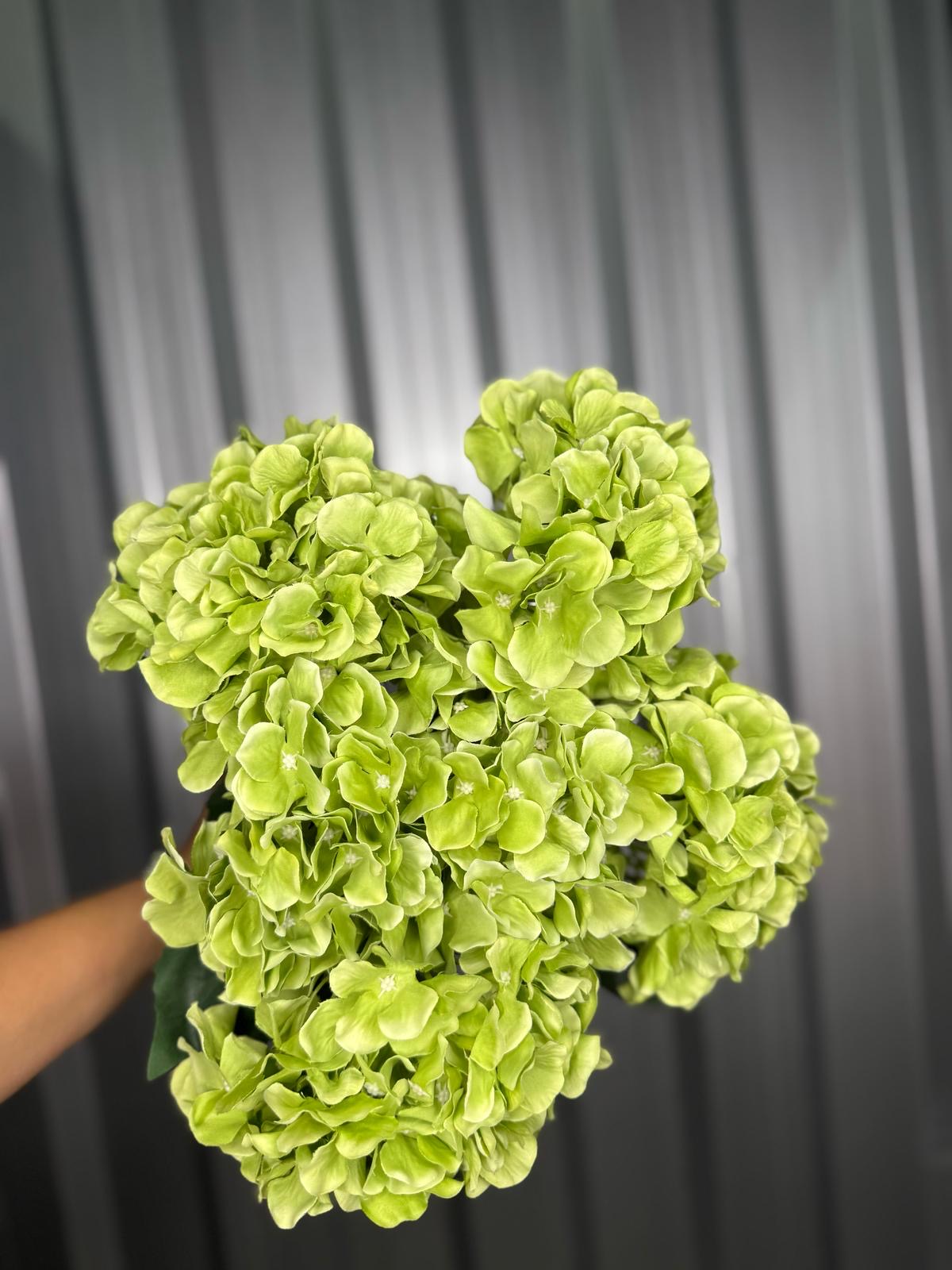 Light Green 6 Head Hydrangea