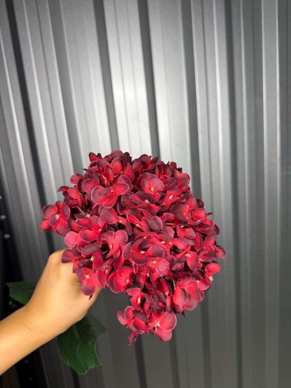 Deep Red Single Head Hydrangea