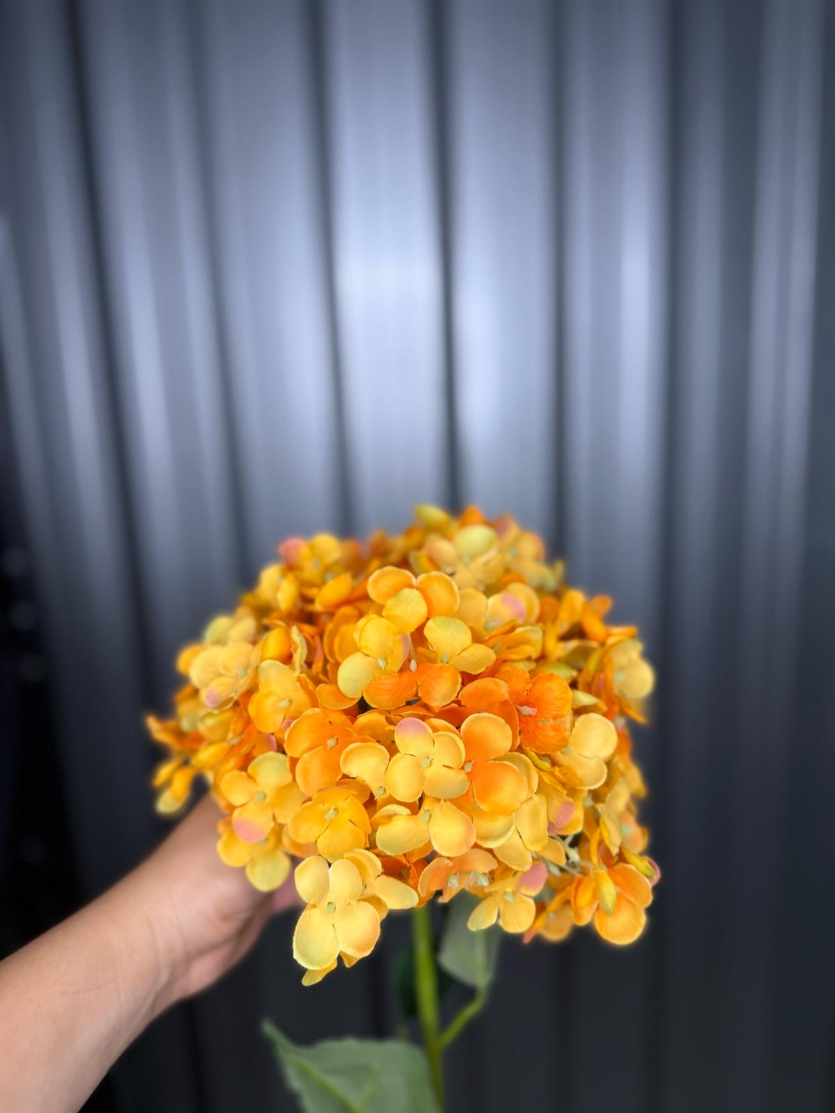 Orange Single Head Hydrangea