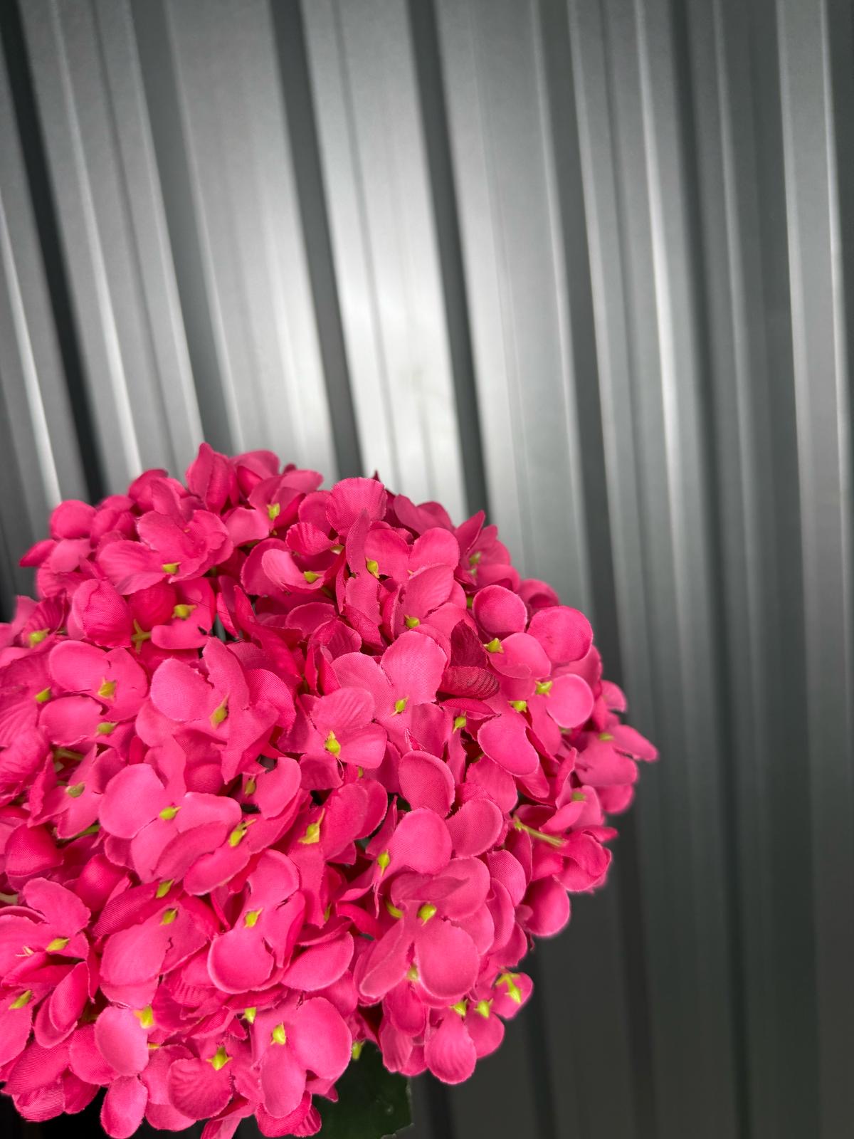 Hot Pink Single Head Hydrangea