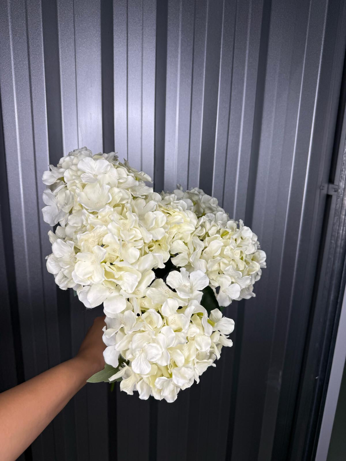 White 6 Head Hydrangea