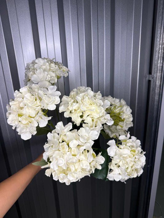 White 6 Head Hydrangea