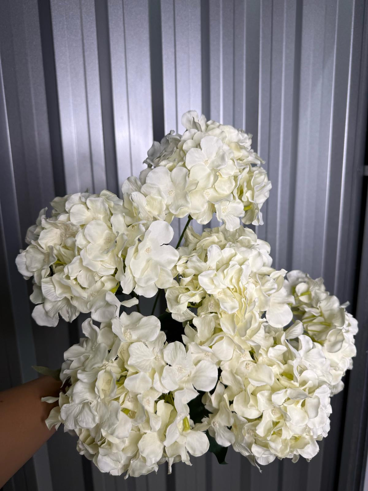 White 6 Head Hydrangea