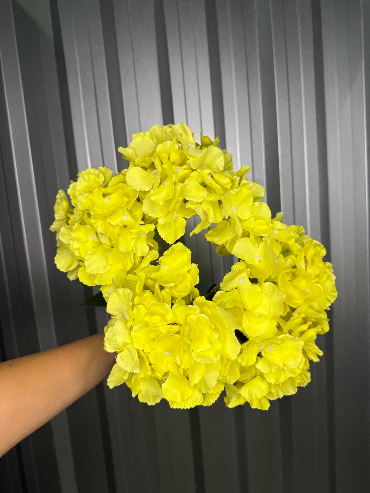 Yellow 6 Head Hydrangea