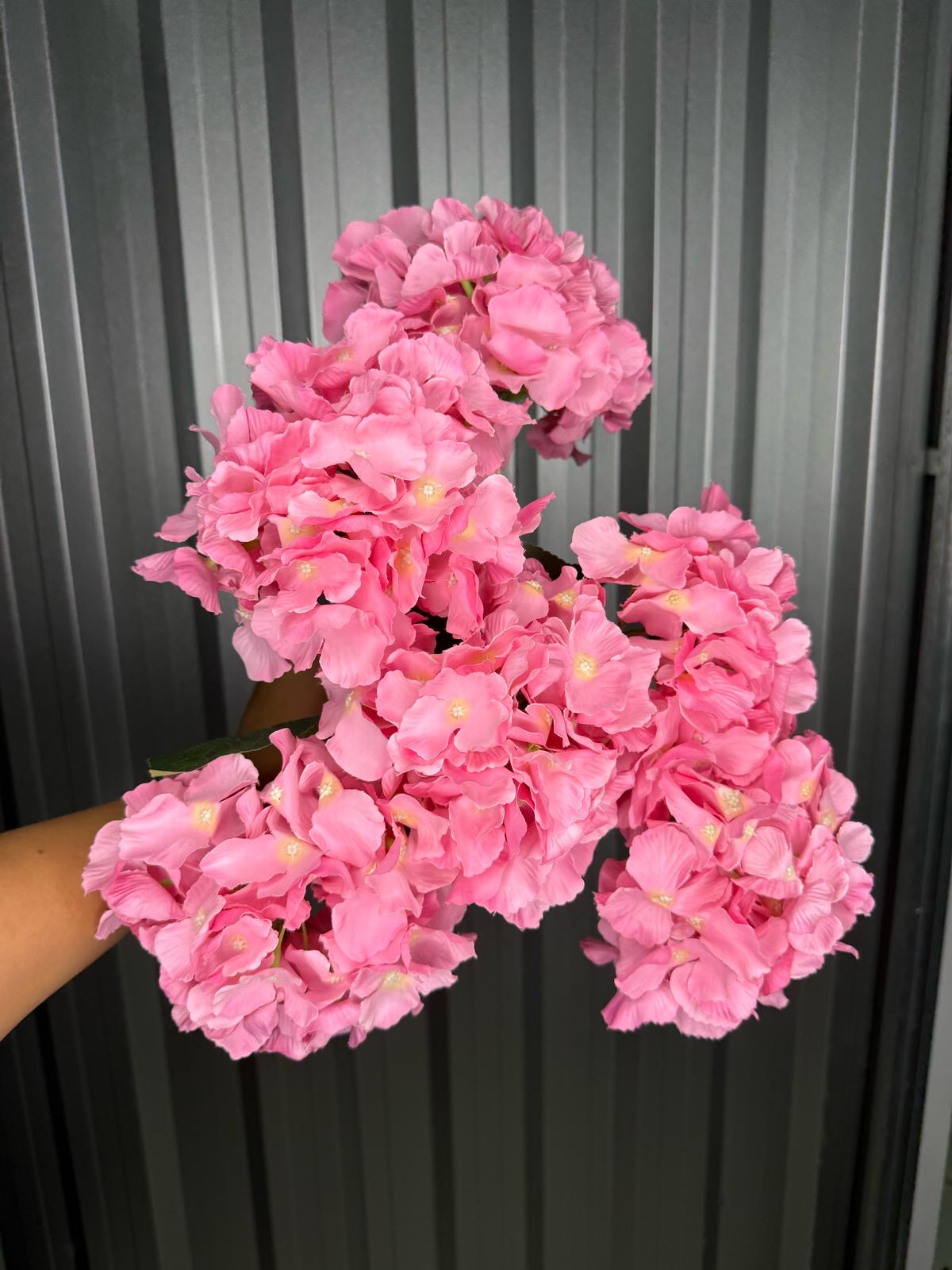 Pink 6 Head Hydrangea