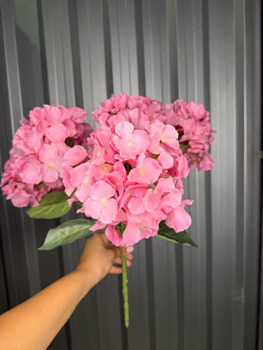 Pink 6 Head Hydrangea
