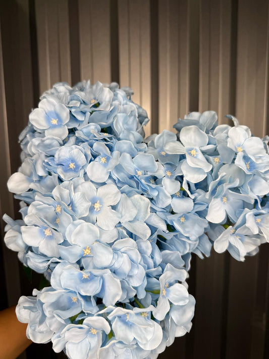 Baby Blue 6 Head Hydrangea