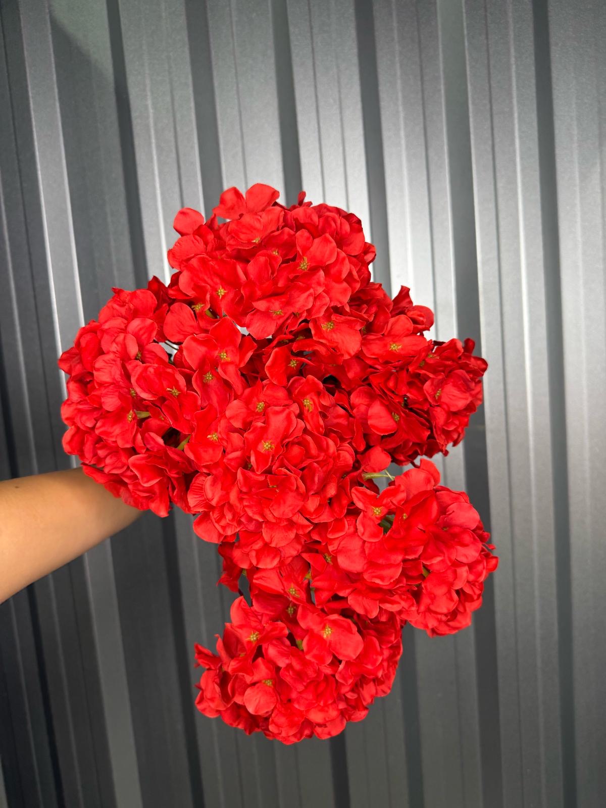 Red 6 Head Hydrangea