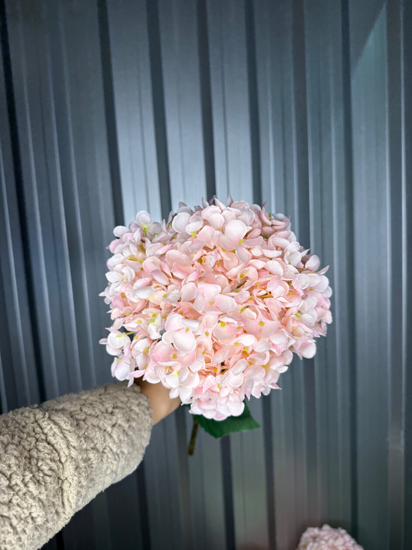 Light Pink Single Head Hydrangea