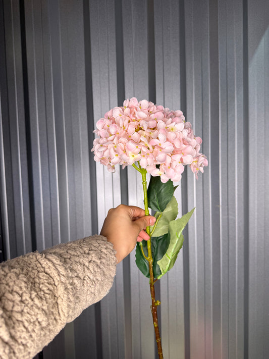 Light Pink Single Head Hydrangea