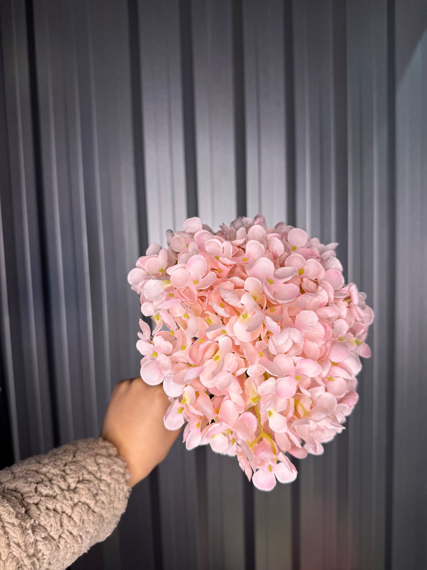 Light Pink Single Head Hydrangea