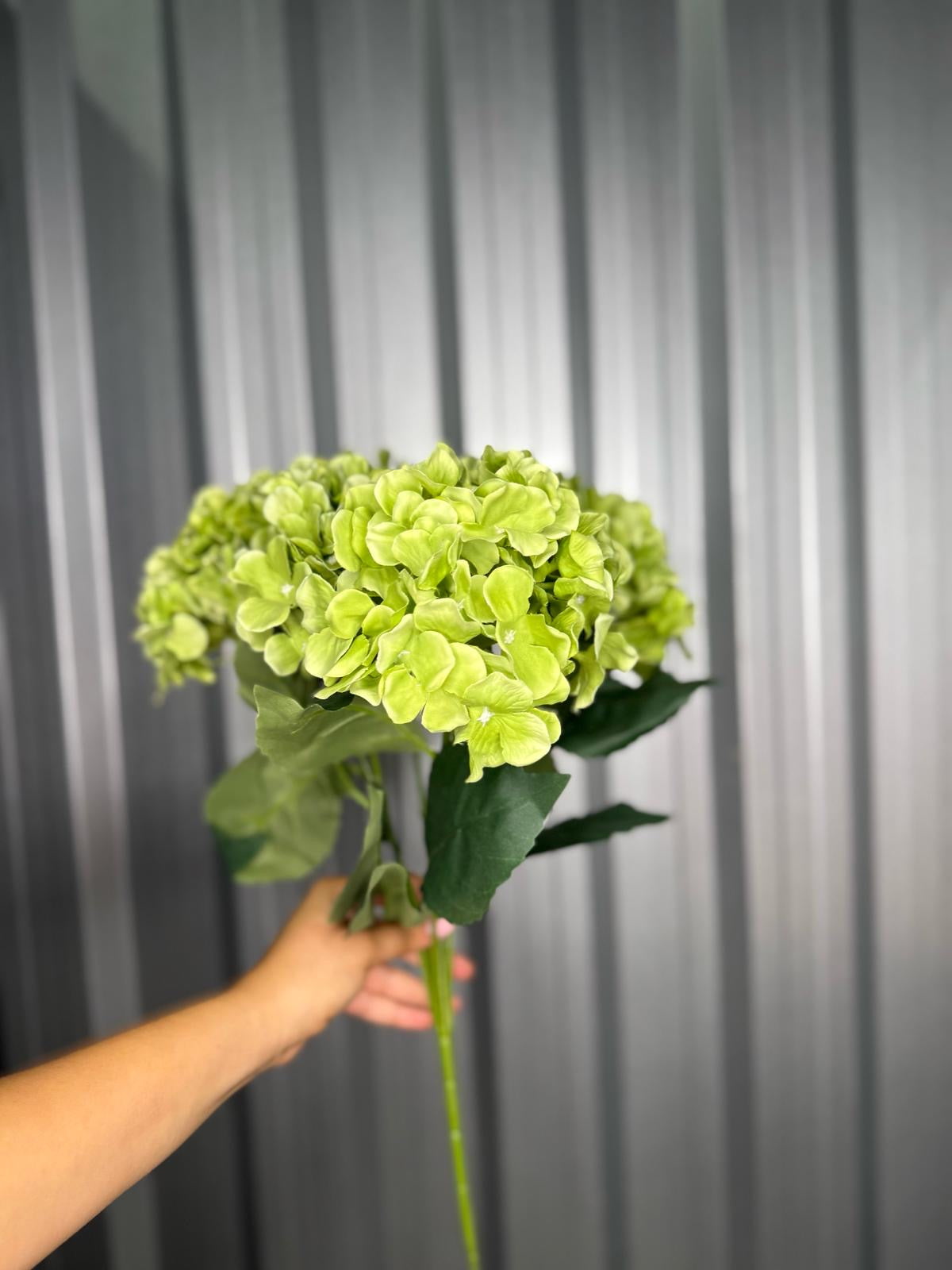 Light Green 6 Head Hydrangea
