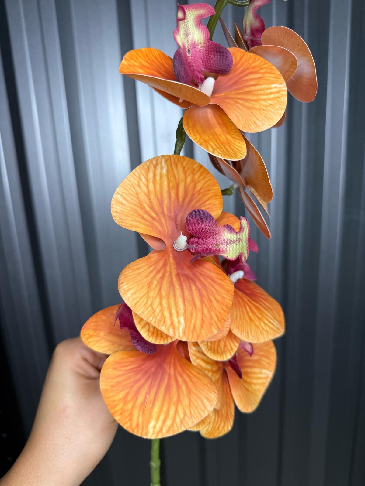 Burnt Orange Orchid