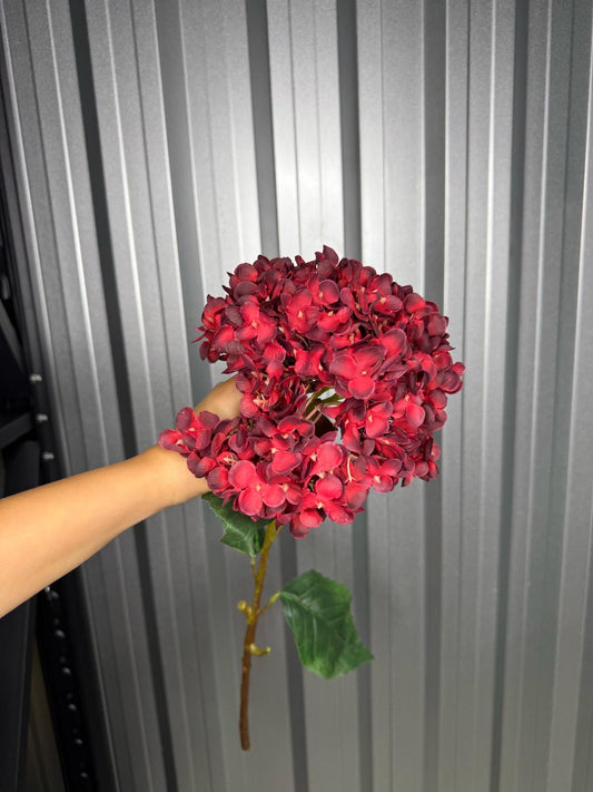 Deep Red Single Head Hydrangea