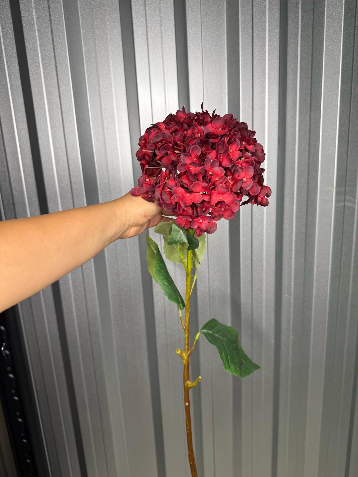 Deep Red Single Head Hydrangea