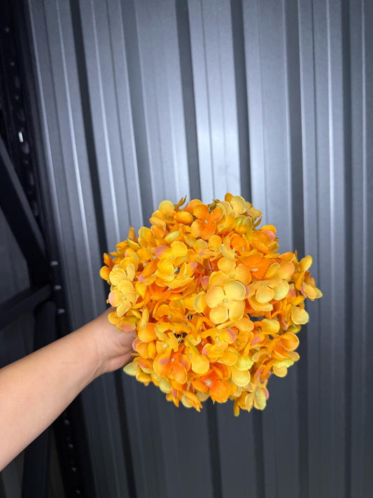 Orange Single Head Hydrangea