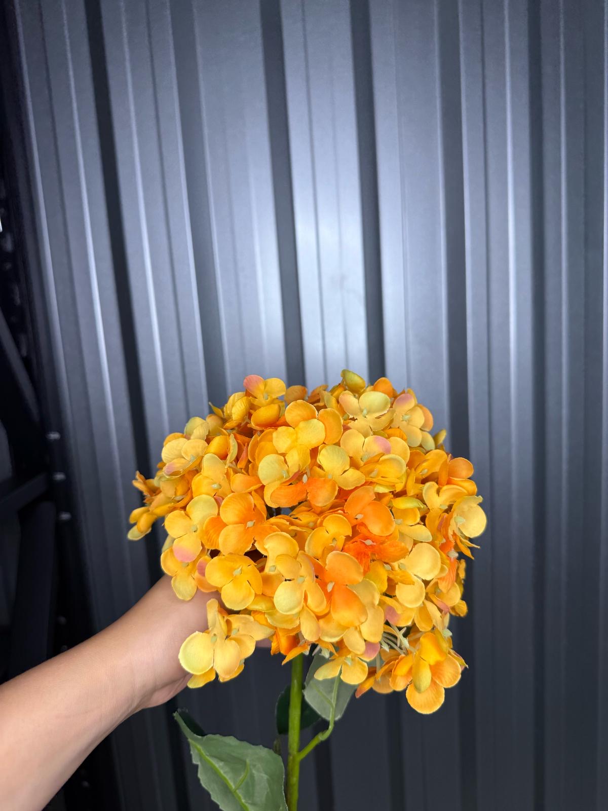 Orange Single Head Hydrangea