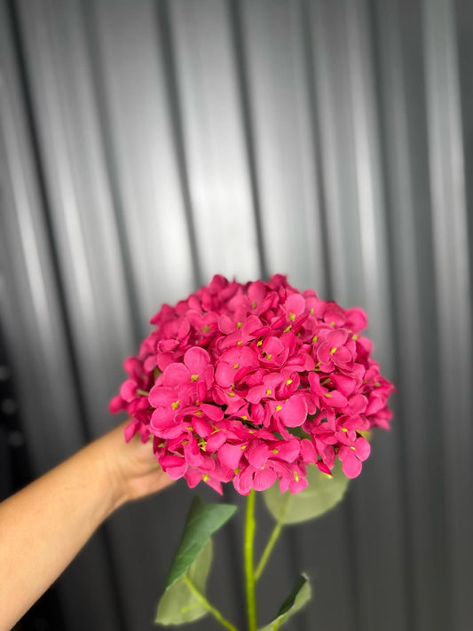Hot Pink Single Head Hydrangea