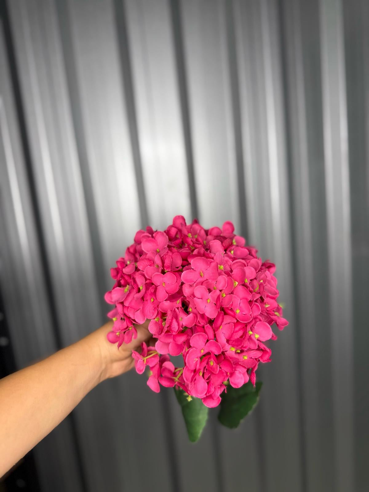 Hot Pink Single Head Hydrangea
