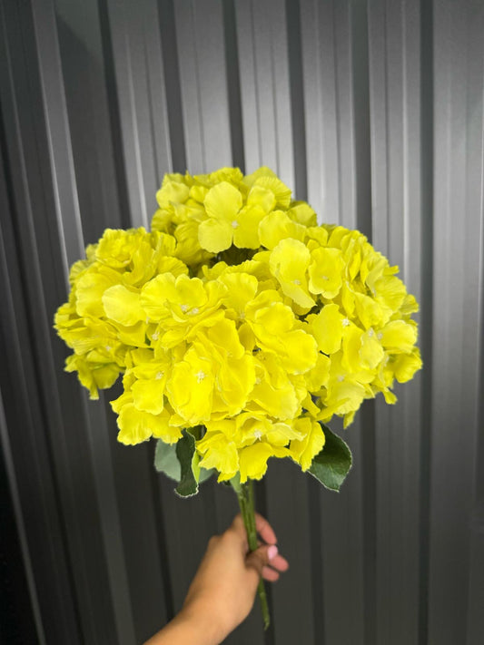 Yellow 6 Head Hydrangea
