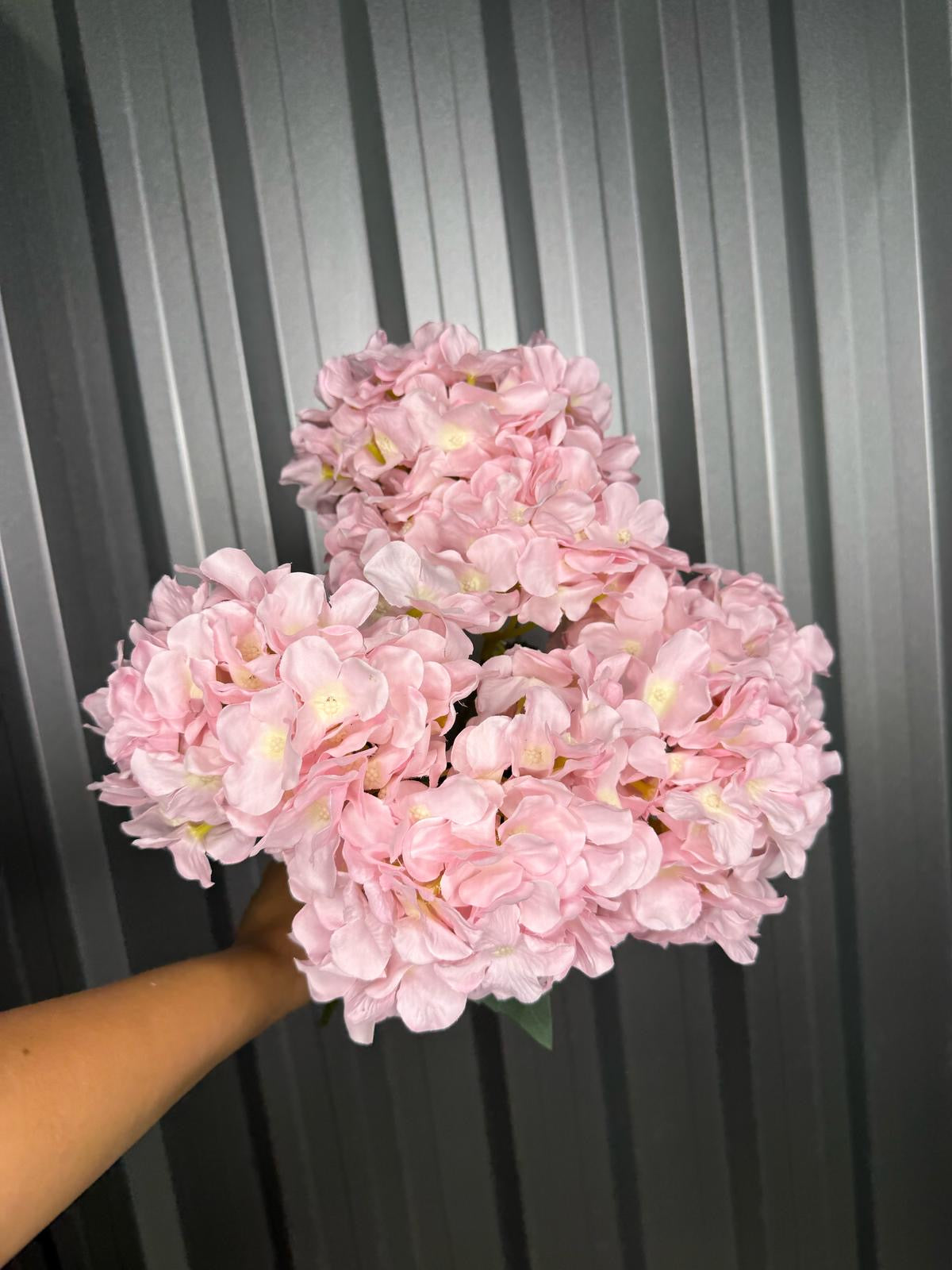 Baby Pink 6 Head Hydrangea