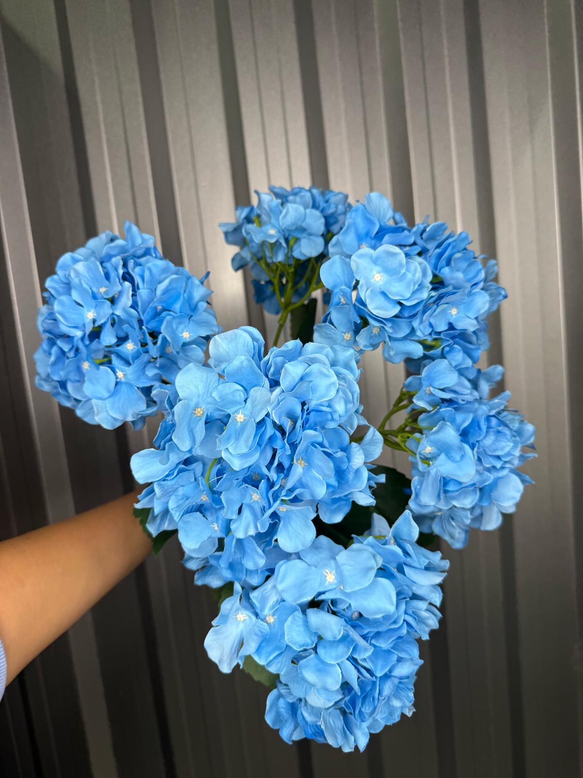 Blue 6 Head Hydrangea