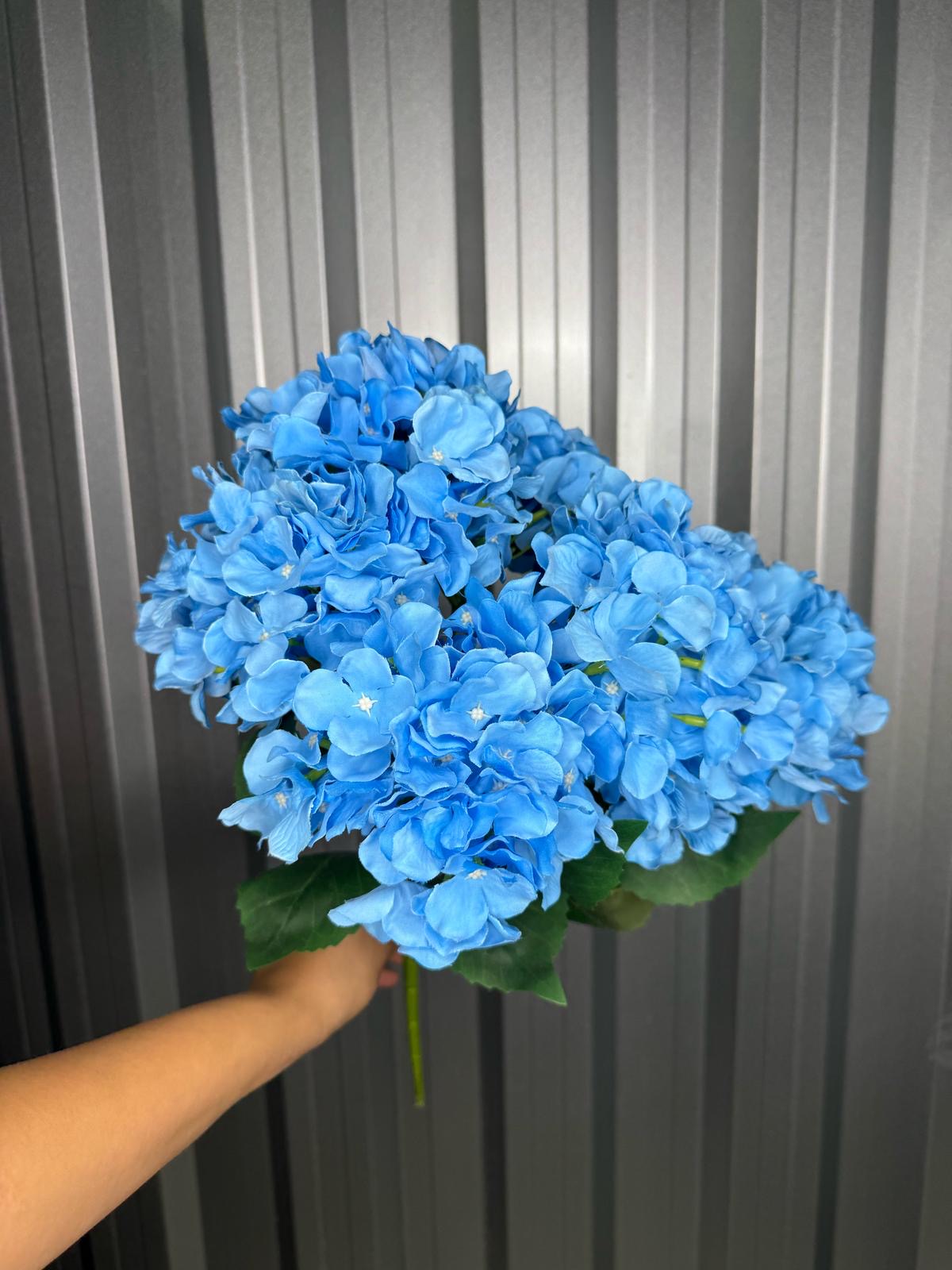 Blue 6 Head Hydrangea