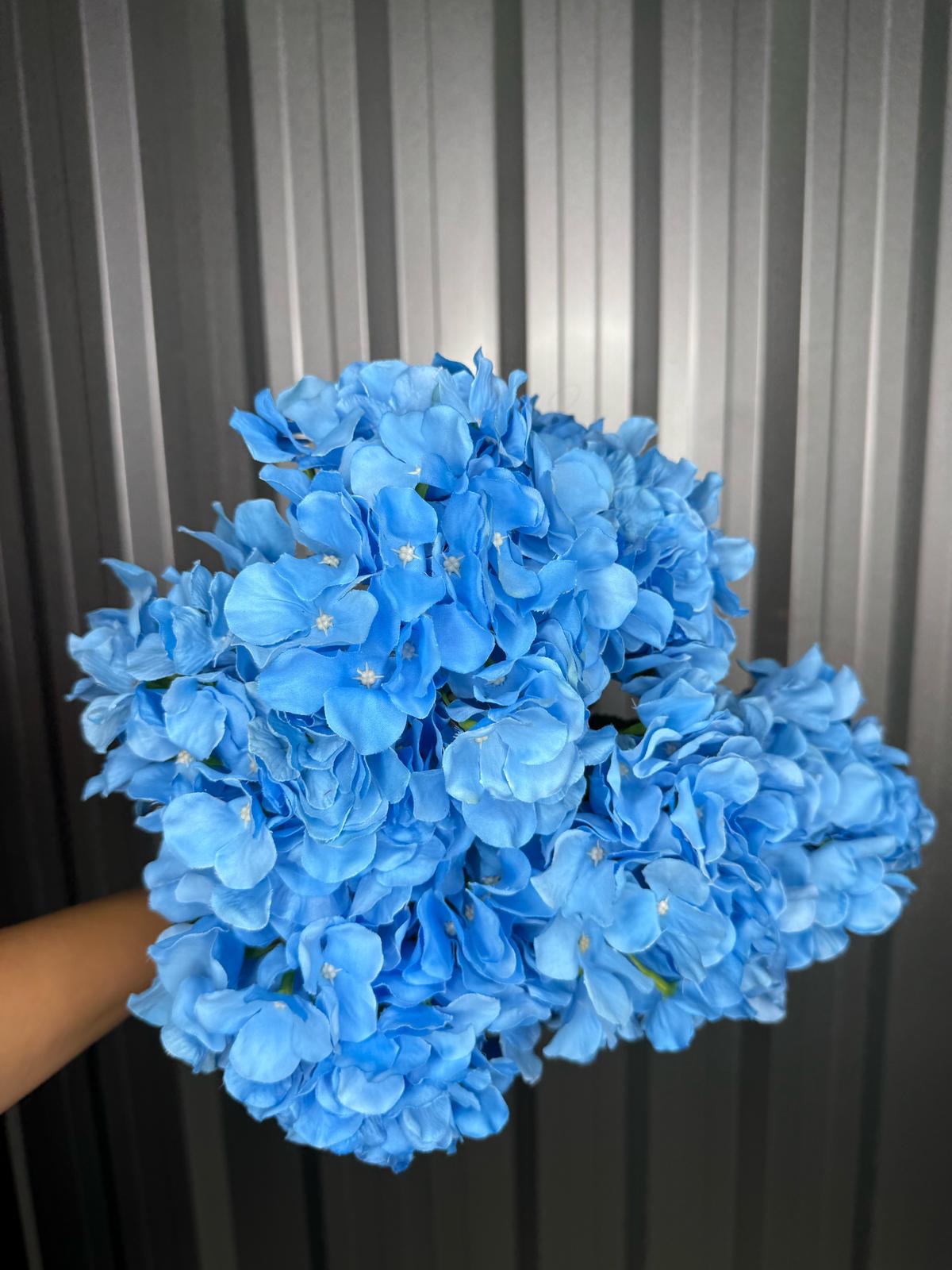Blue 6 Head Hydrangea