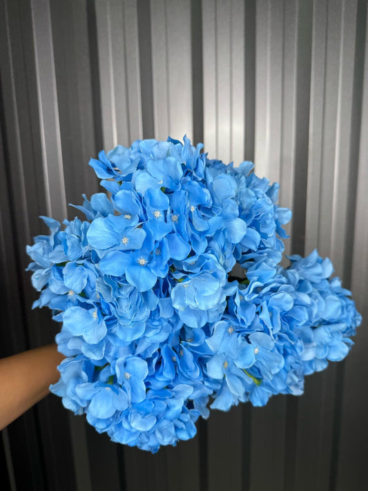 Blue 6 Head Hydrangea