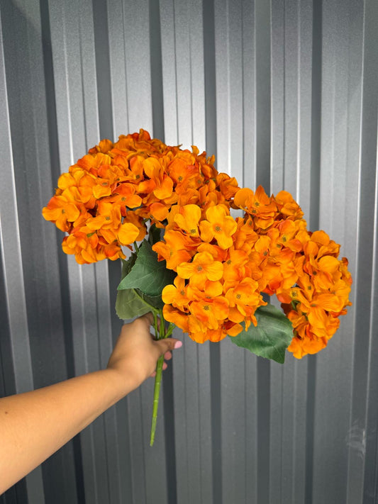 Orange 6 Head Hydrangea