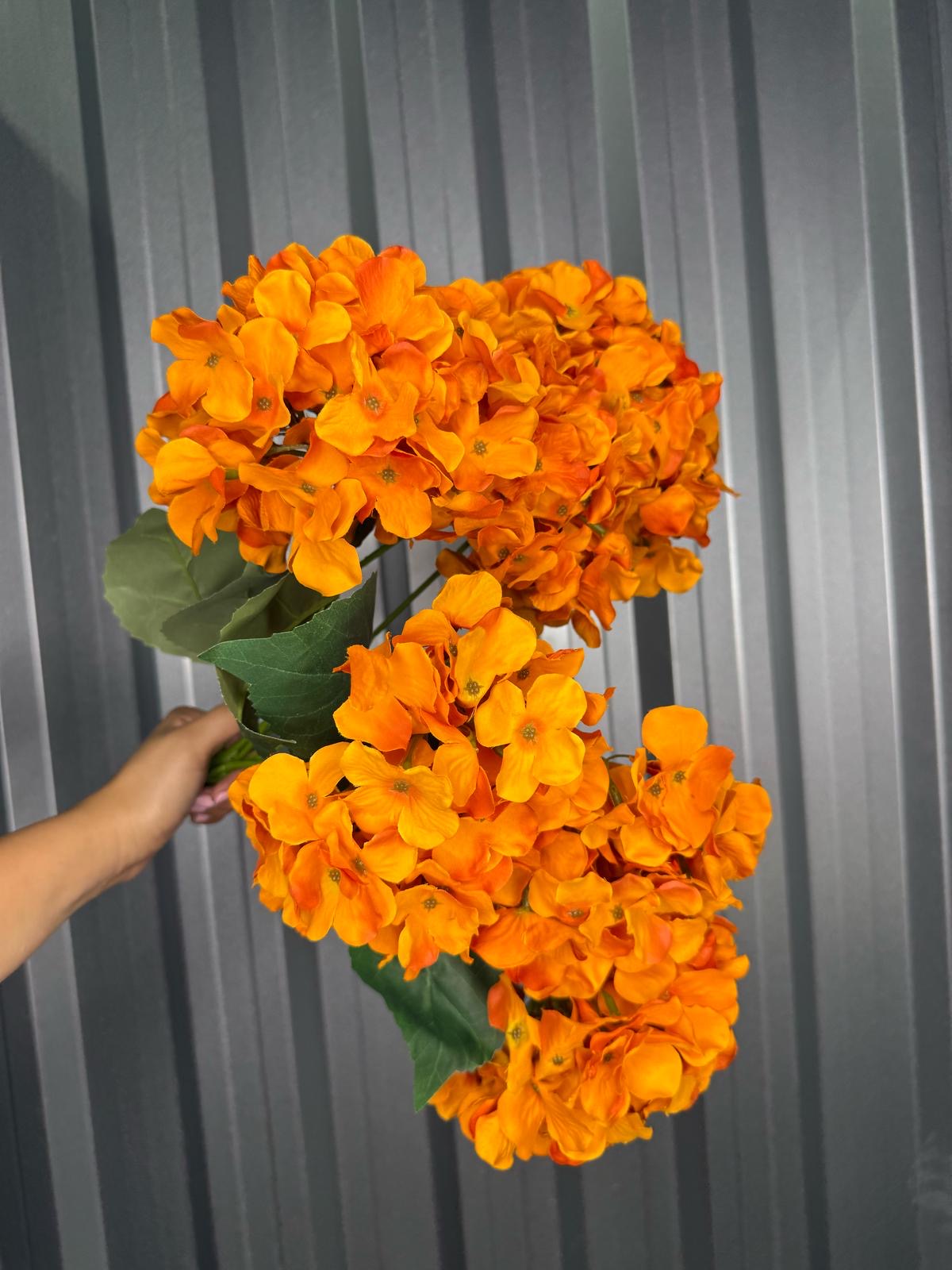 Orange 6 Head Hydrangea