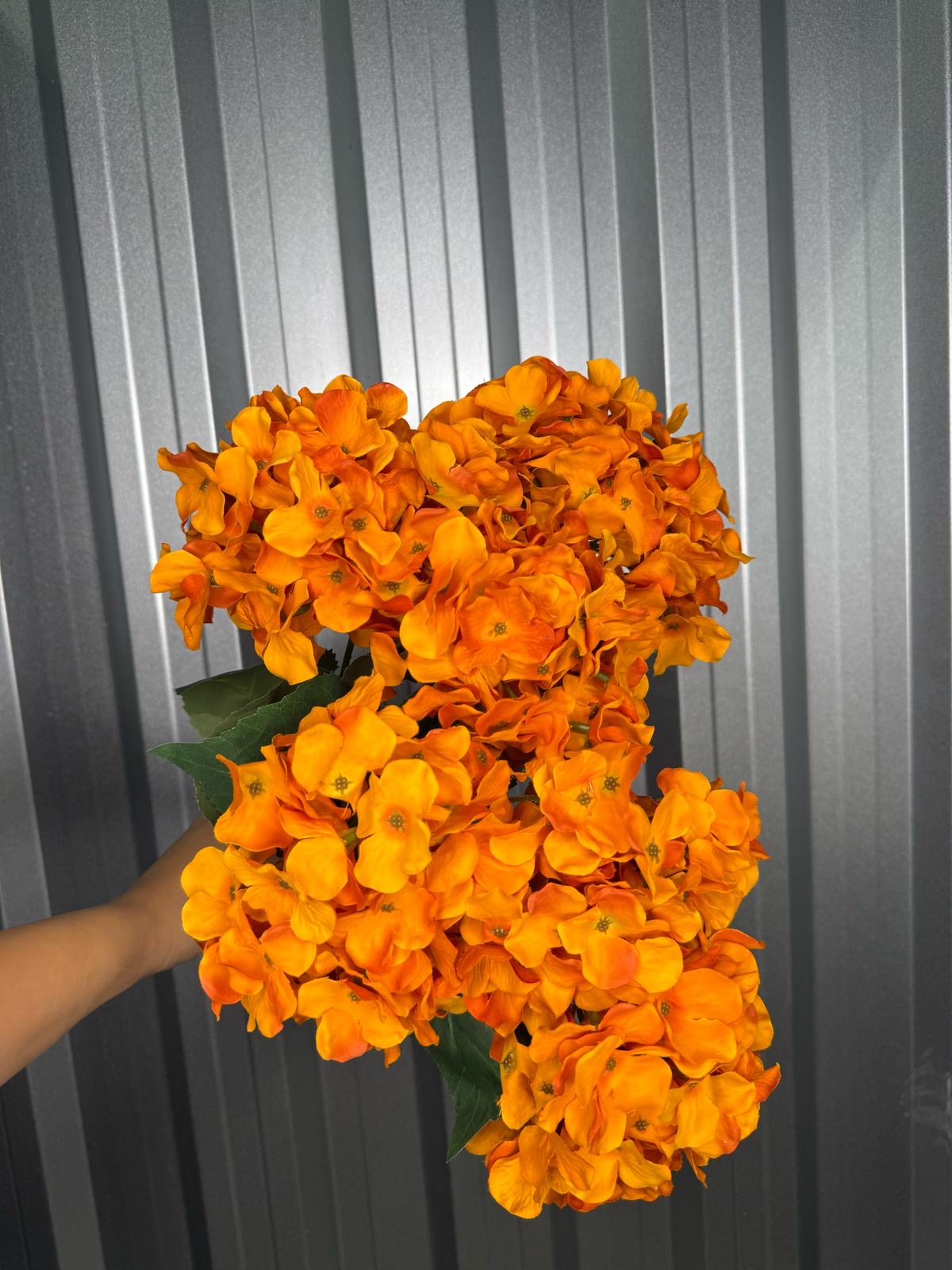 Orange 6 Head Hydrangea