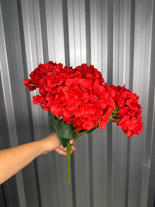 Red 6 Head Hydrangea